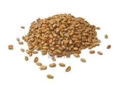 Semi di Grano