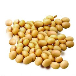 Semi di Soia